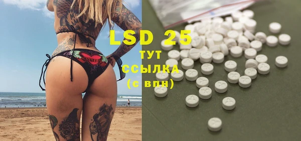 гидра Вяземский