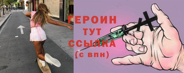 гидра Вяземский
