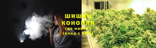 крисы Вязники