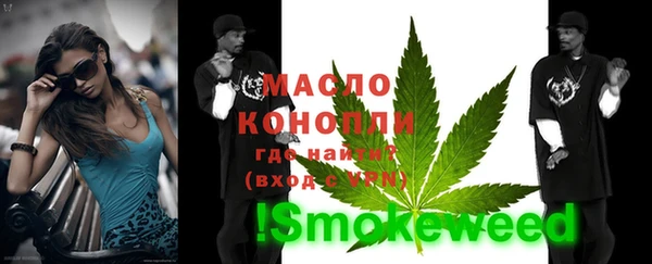 гидра Вяземский