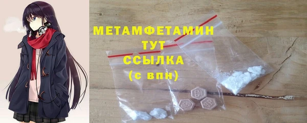 гидра Вяземский
