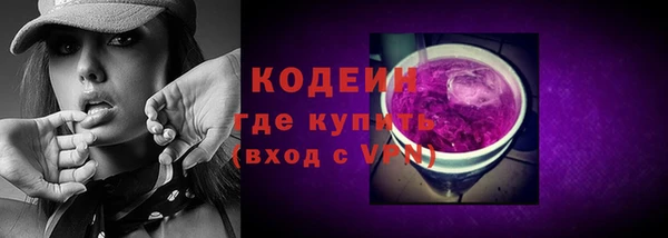 гидра Вяземский