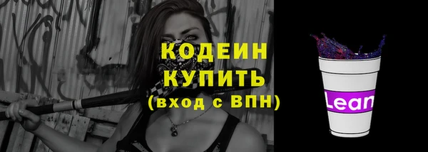 гидра Вяземский
