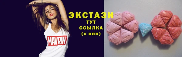индика Володарск
