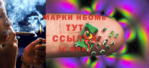 гидра Вяземский