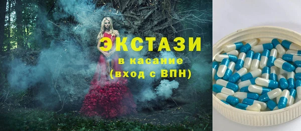 гидра Вяземский