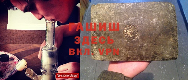 гидра Вяземский