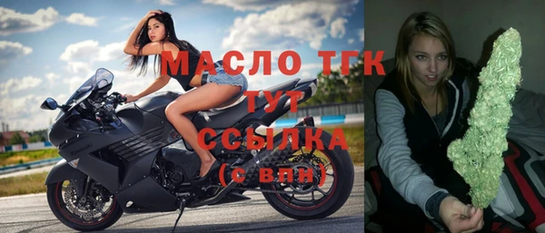 гидра Вяземский