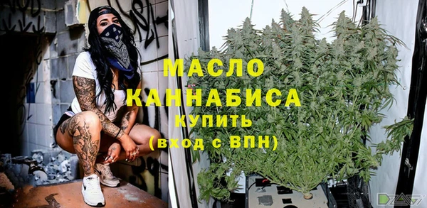 гидра Вяземский