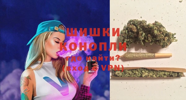 гидра Вяземский