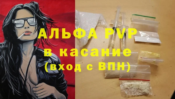 гидра Вяземский