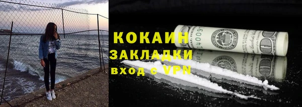 гидра Вяземский