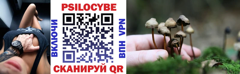 купить наркотик  Сочи  Галлюциногенные грибы GOLDEN TEACHER 